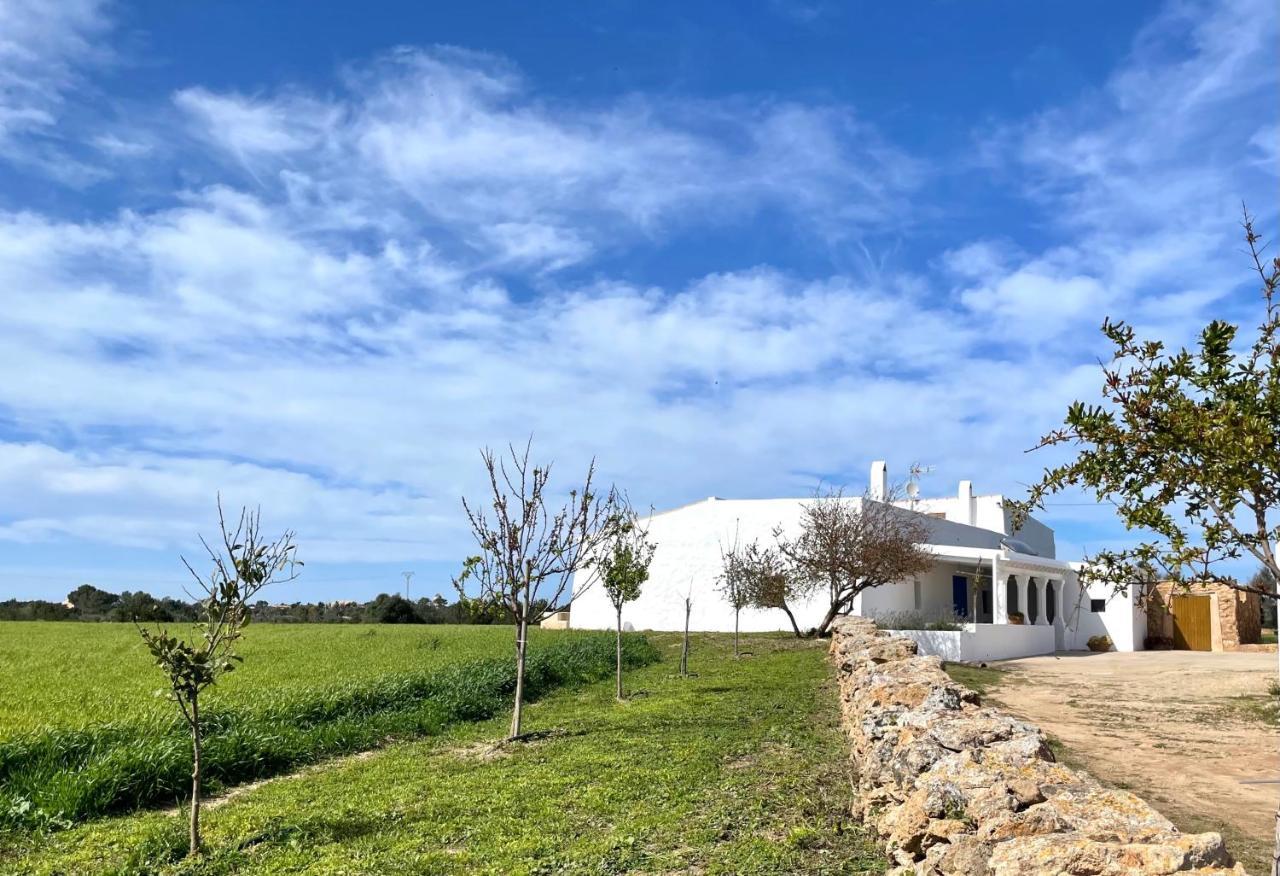 Can Marianet San Ferrán de ses Roques Eksteriør bilde